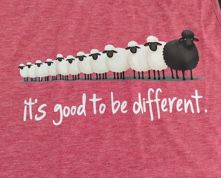 T SHIRT SCHAFE SOMMER  " IT'S GOOD TO BE DIFFERENT "