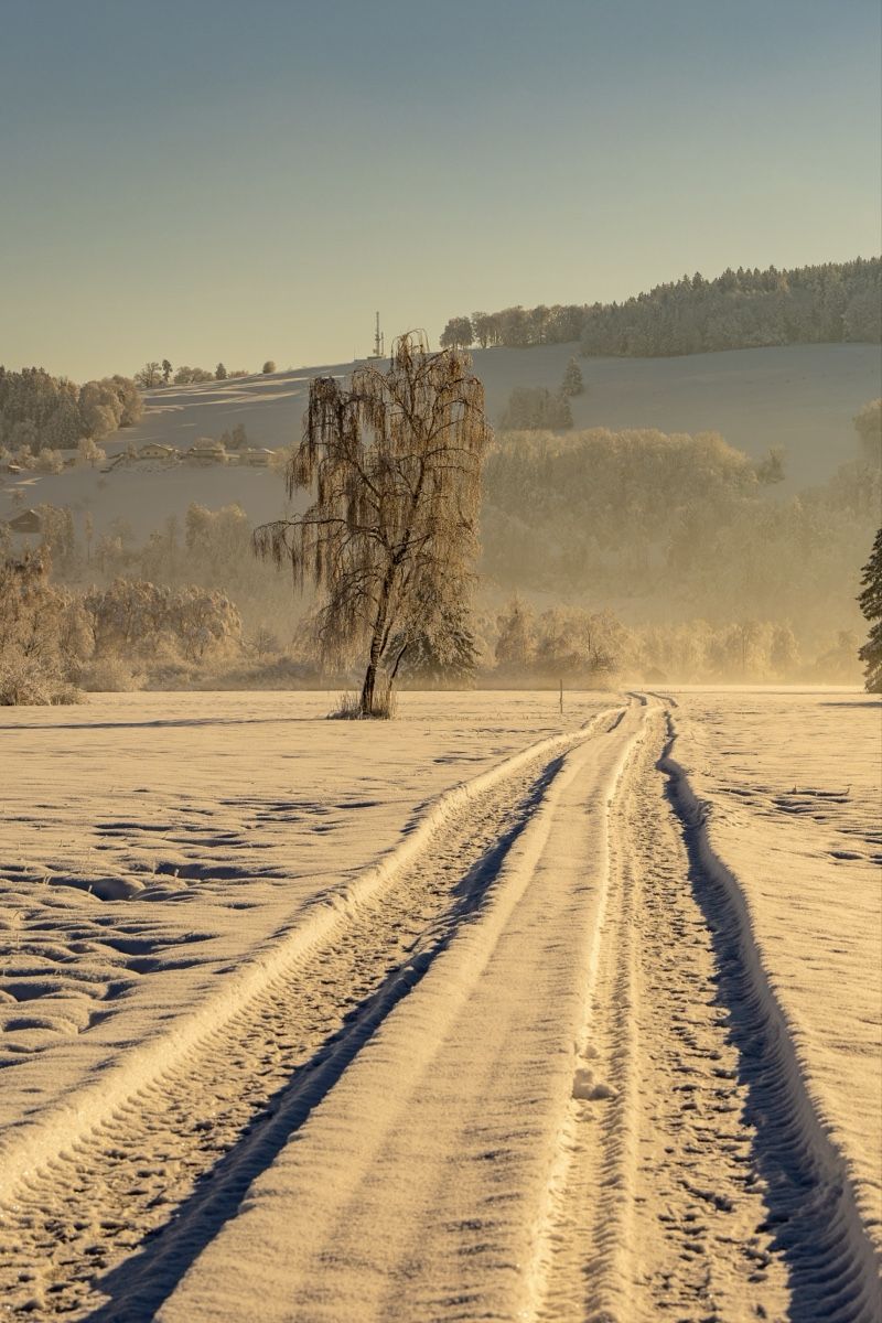 Poster & Bilder: Poster A3+ Schnee Hochglanz  – Neu und originalverpackt aus Ruggell von Pascal_B_1986