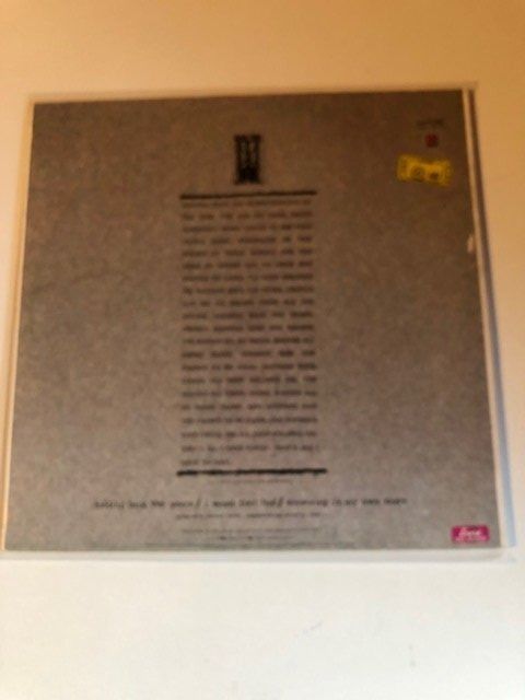 Dischi in vinile: Simple Red – Usato da Aarwangen venduto da Jukebox3 1