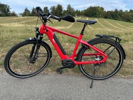 E-Bike Cresta eGiro Neo 25 km/h mit 2 Akkus