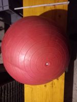 Grosser Gymnastikball, wurde für das Hundetraining genutzt