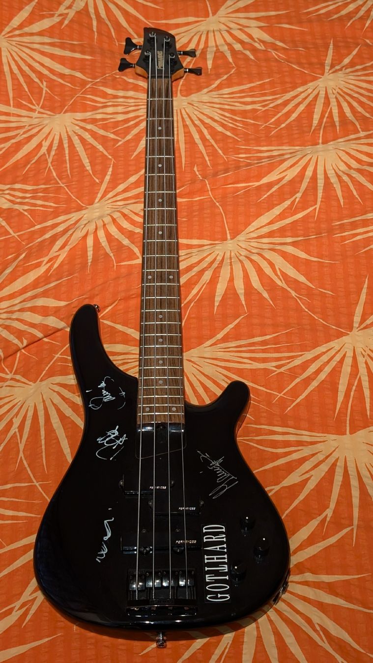 Strumenti musicali: Gotthard Bass – Usato da Sarmenstorf venduto da Bideli68