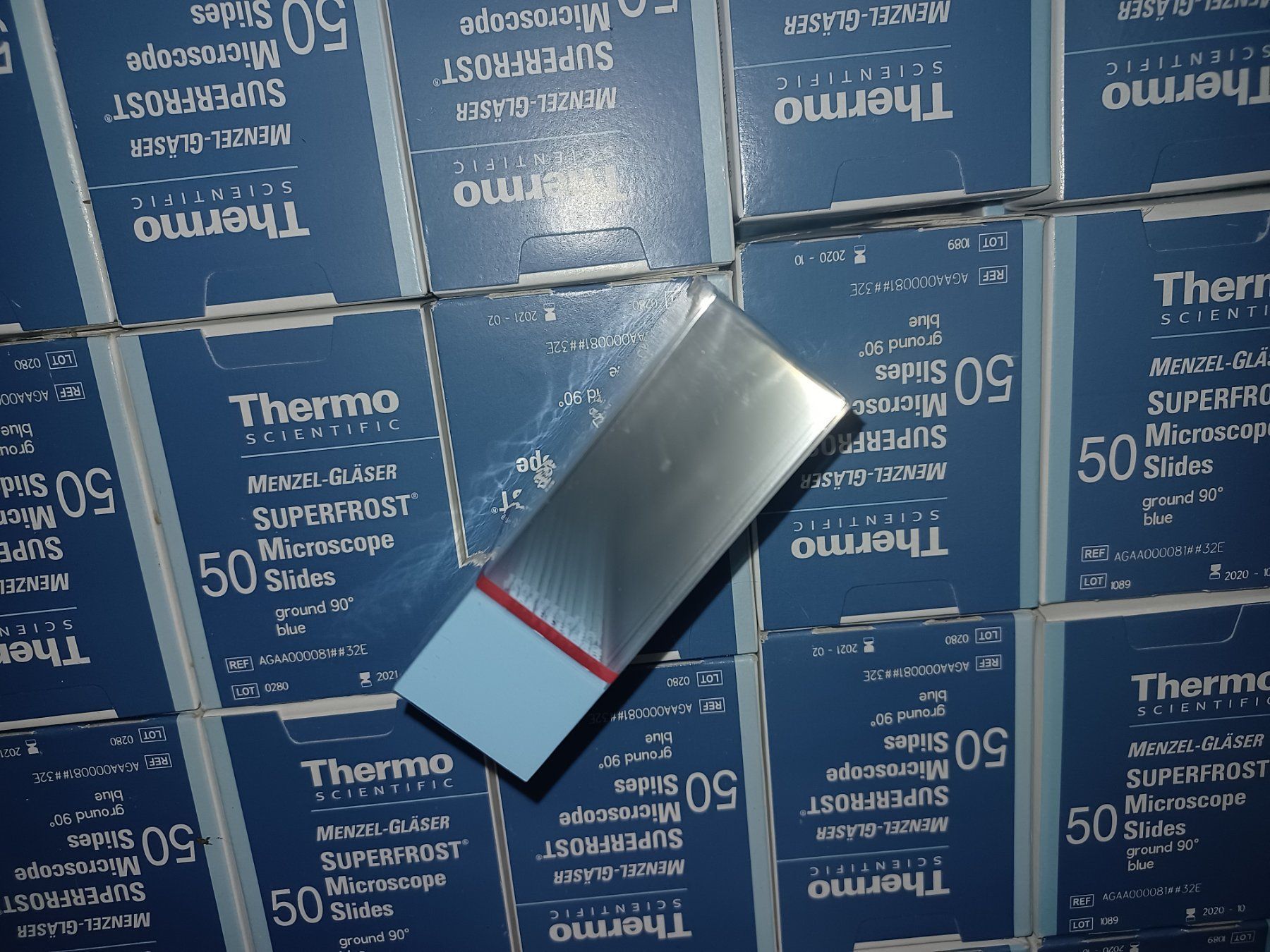 Microscopi: 3 Pakete Objektträger Microscop Slides Thermo Scientific – Nuovo (secondo la descrizione) da Schupfart venduto da philippb06