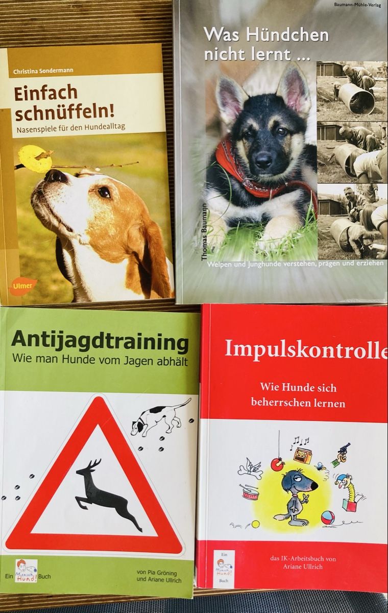 Bücher: Hundeerziehung – Gebraucht aus Läufelfingen von petit-nicola 2