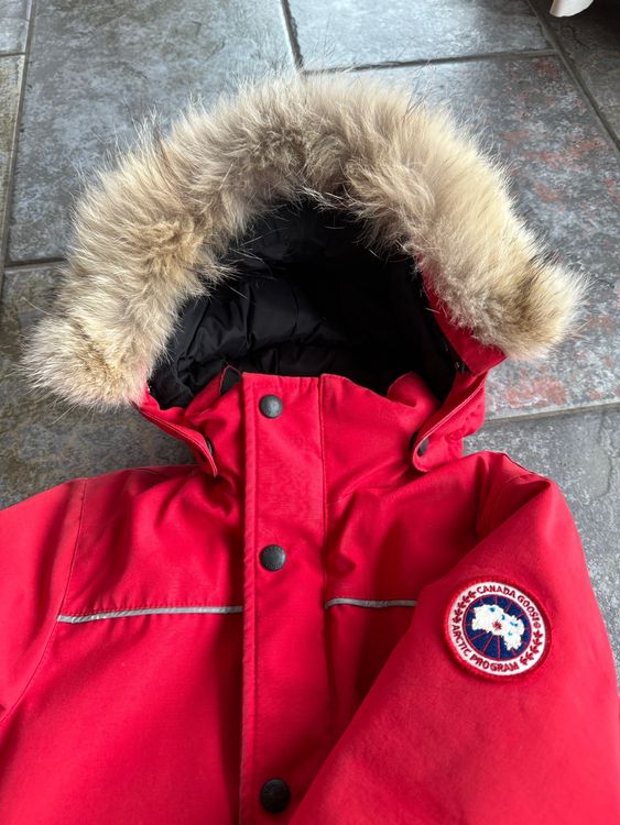 Canada goose 2025 kinder rot