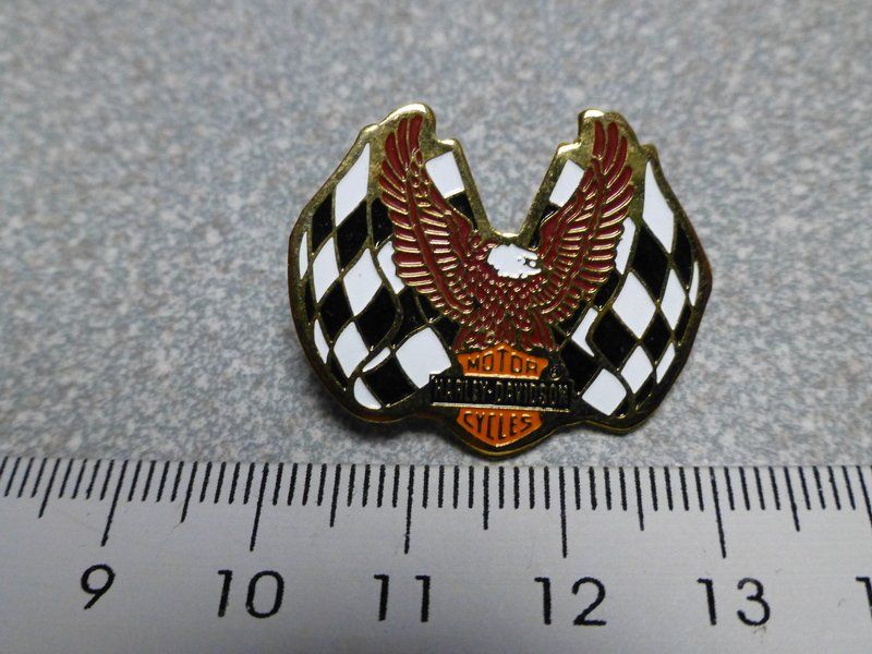 Placchette & Badge: PIN PINS HARLEY DAVIDSON HOG ABZEICHEN CHAPTER BADGE – Usato da Gränichen venduto da Jumbo77