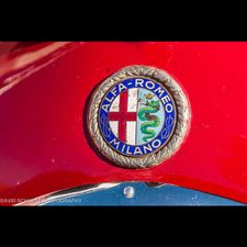 Profile image of Alfista_159