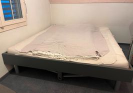 Svoboda Bett exkl. Matratze 180x200 cm