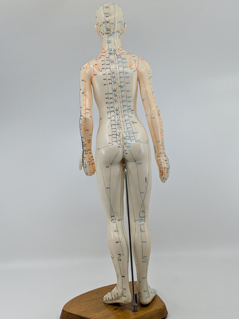 Statuette: Akupunktur Modell Figur – Usato da Emmen venduto da magelan 2