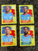 Panini Stickers