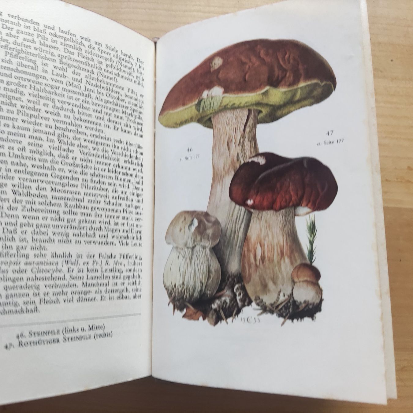 Libri: Knaurs Pilzbuch - 1954 – Usato da Solothurn venduto da Csw1 2