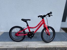 Kinderfahrrad Trek Precaliber 22 cm Pink