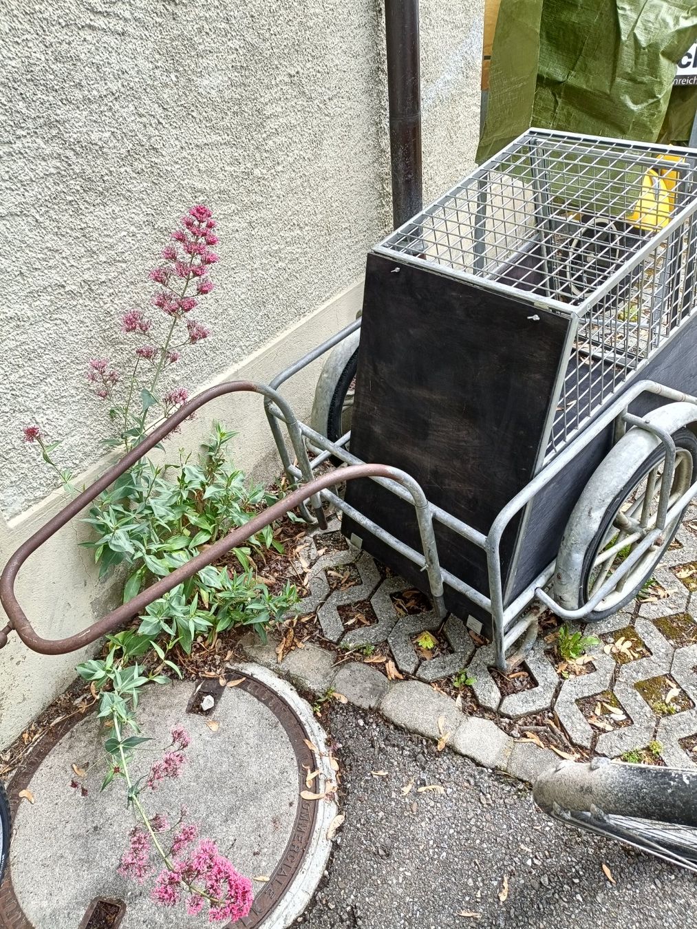 Gabbie, trasporto & Sicurezza: Velo Anhänger mit Hundebox – Usato da Köniz venduto da Brockenreich 3