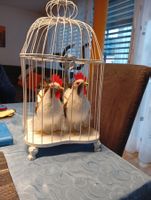 Für Ostern: Hühner mit Kaefig