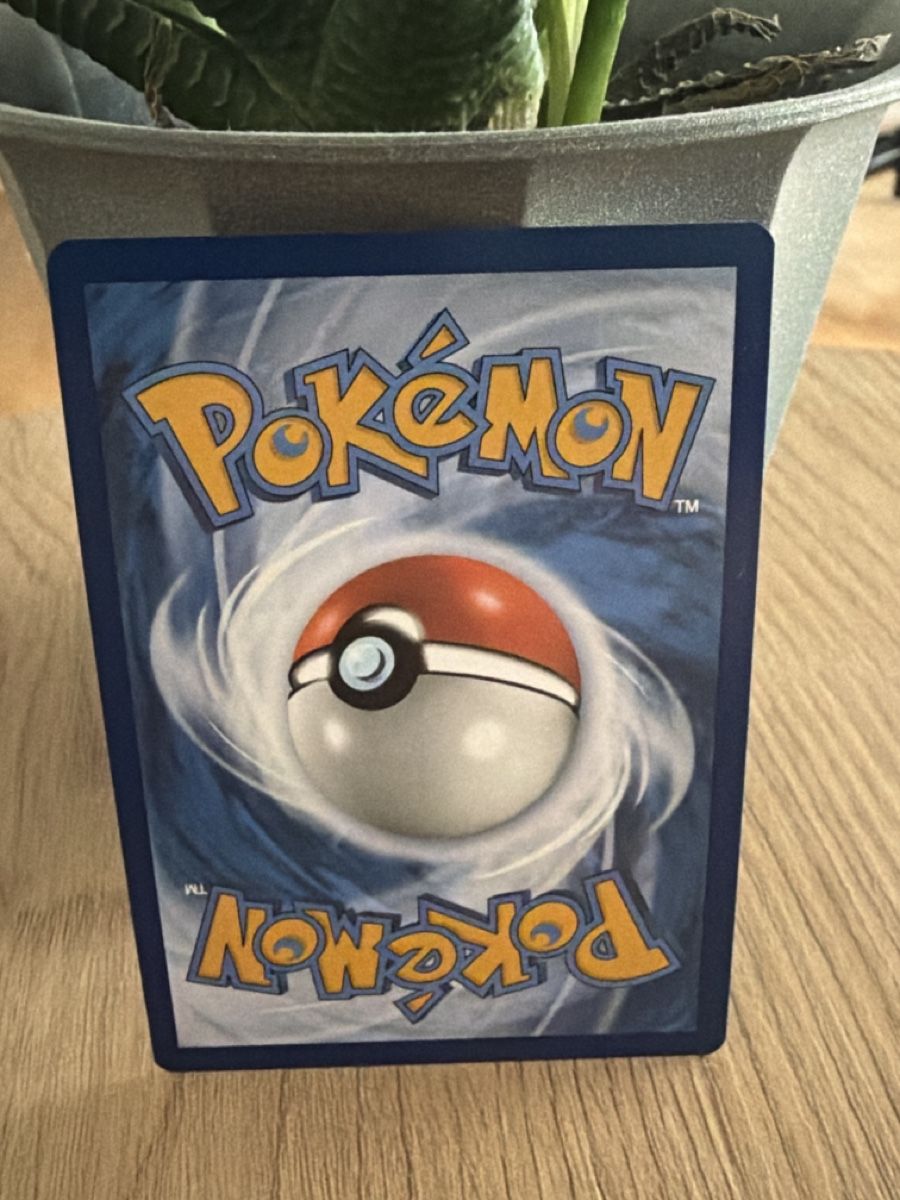 Pokémon Carte collezionabili: Pokemon Karte Phandra – Nuovo (secondo la descrizione) da Widnau venduto da joe_s5jr 1