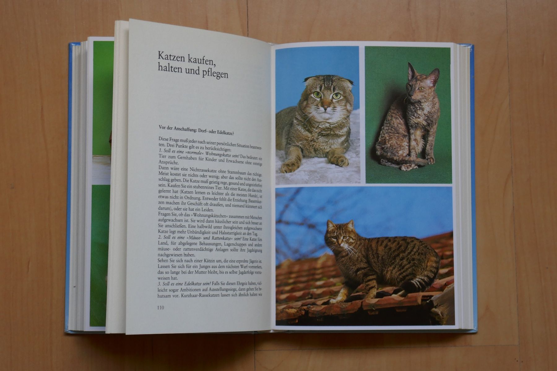 Libri: Knaurs Katzenbuch – Usato da Uetendorf venduto da sru128 1