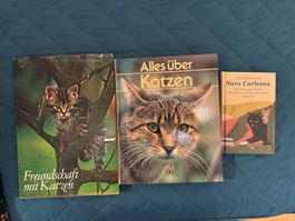 Alles über Katzen: 3 Bücher für Katzenliebhaber