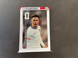 Fussball Sticker ANTONEE ROBINSON (USA) FIFA