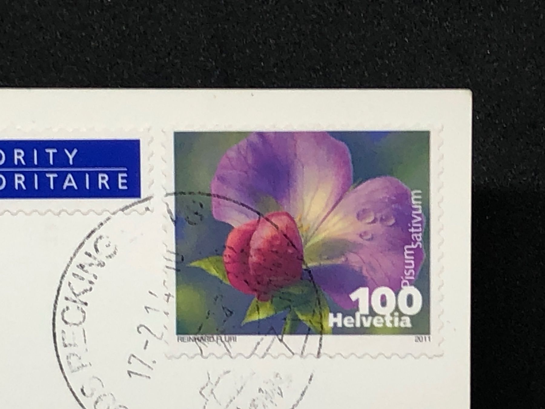 Cartoline postali: Goms: Langlaufparadies im Wallis – Usato da Widnau venduto da Brusi9 1