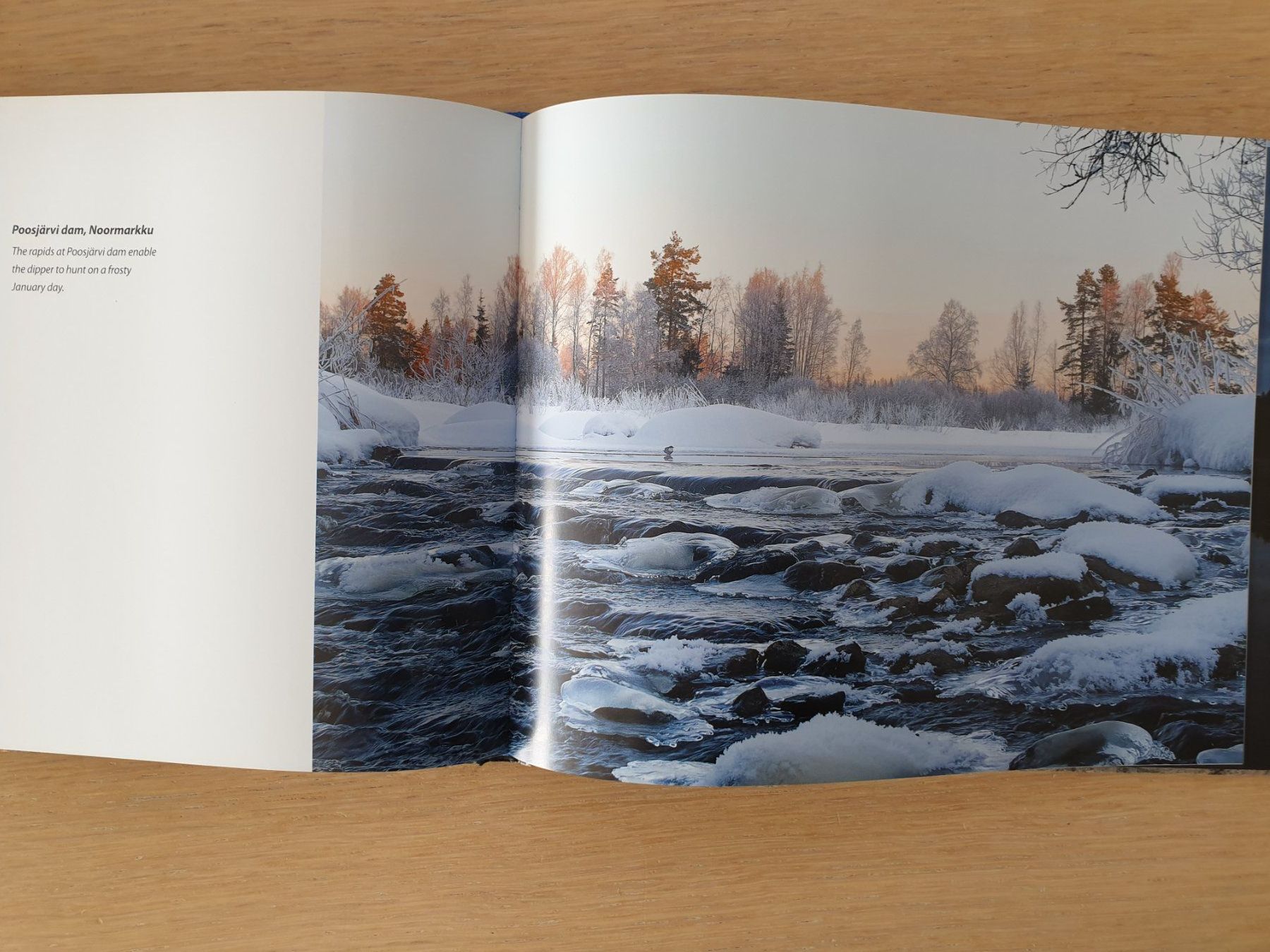 Libri: Buch Finnland – Usato da Schönengrund venduto da Liane63 4