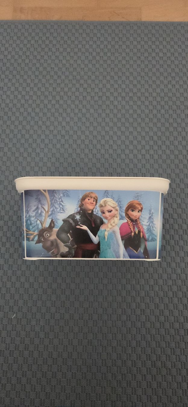 Contenitori & Simili: Frozen Aufbewahrungsbox – Usato da Seuzach venduto da NadiaYuki 2