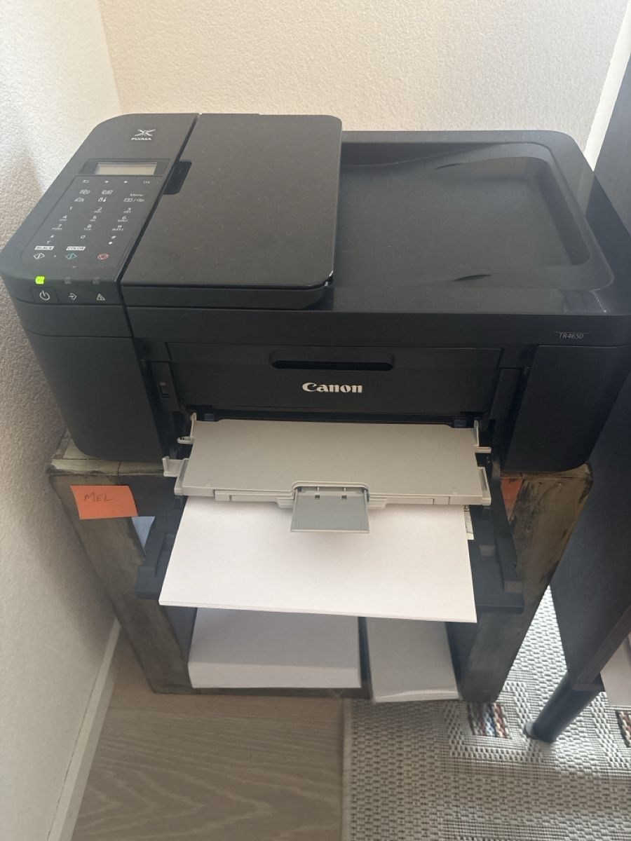 Canon Stampanti: Canon TR4650 Printer – Usato da Arlesheim venduto da Hellee