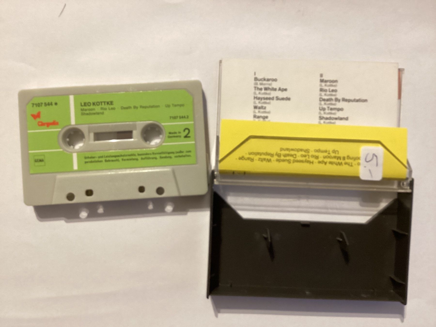 Musicassette: Leo Kottke MC – Usato da Gutenswil venduto da Hamzian 1
