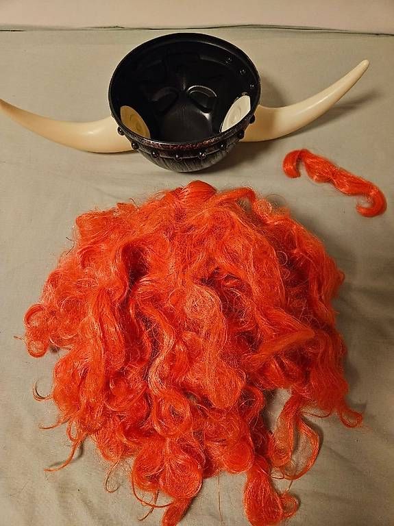 Parrucche: Fasnacht, Wikinger, Gallier, Obelix – Usato da Inwil venduto da Dance78 2