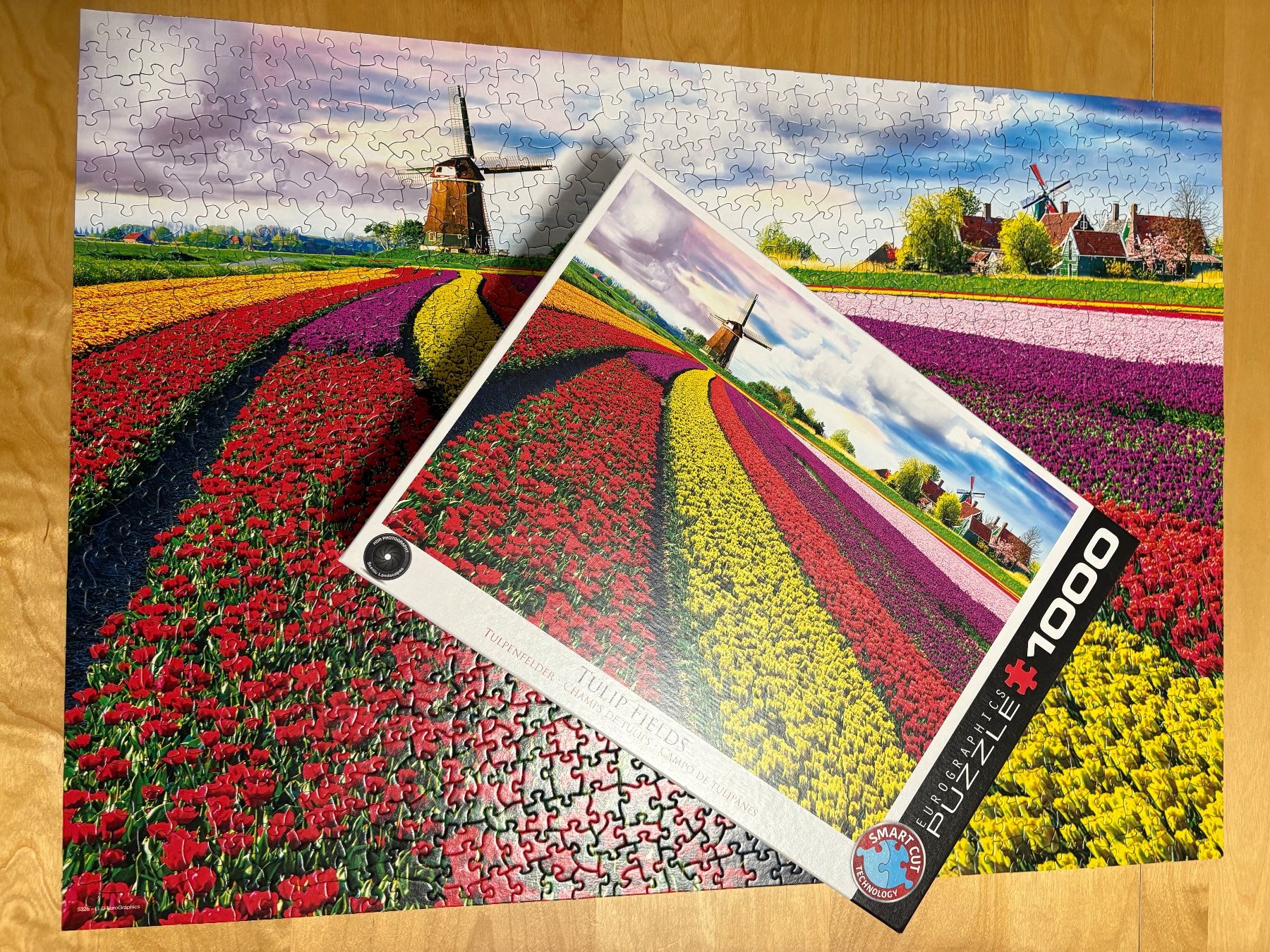 Puzzle: Puzzle "Tulpenfelder" 1000 Teile – Usato da Auenstein venduto da 5222