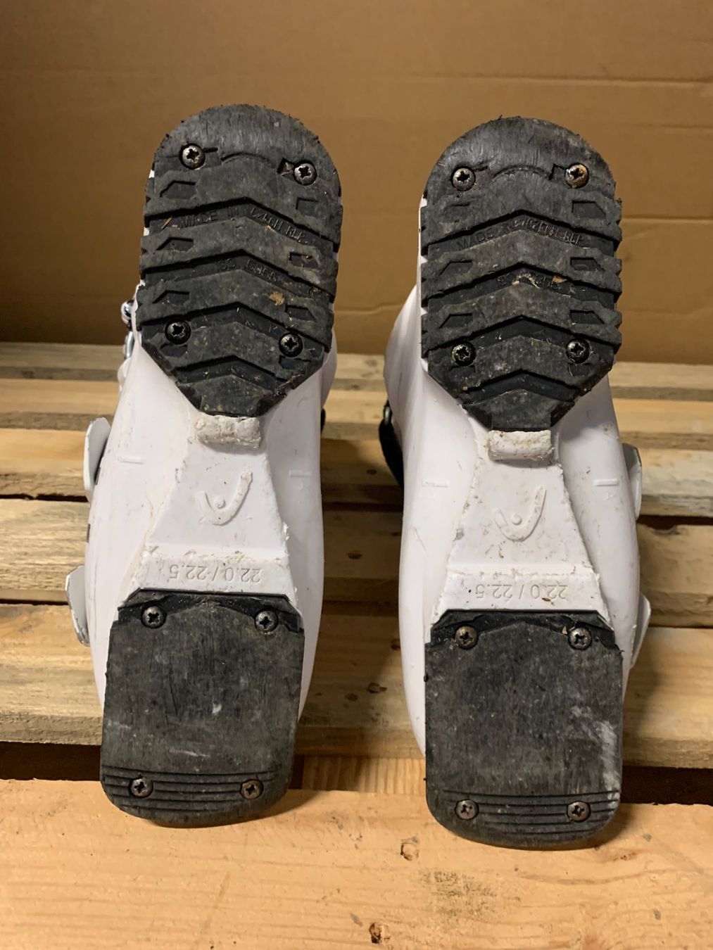 Head Scarpe per ragazzi: Skischuhe, HEAD Raptor Caddy 70, Grösse 35.5 – Usato da Schwarzsee venduto da Sidecut 3