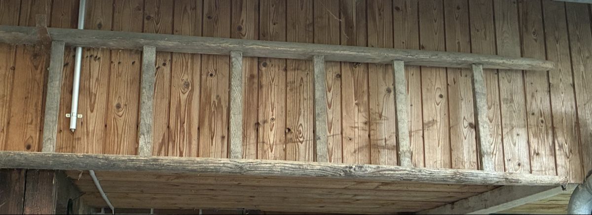 Leitern: Alte Holzleiter rustikal gebraucht  – Gebraucht aus Mühlau von hofstattuhu 1