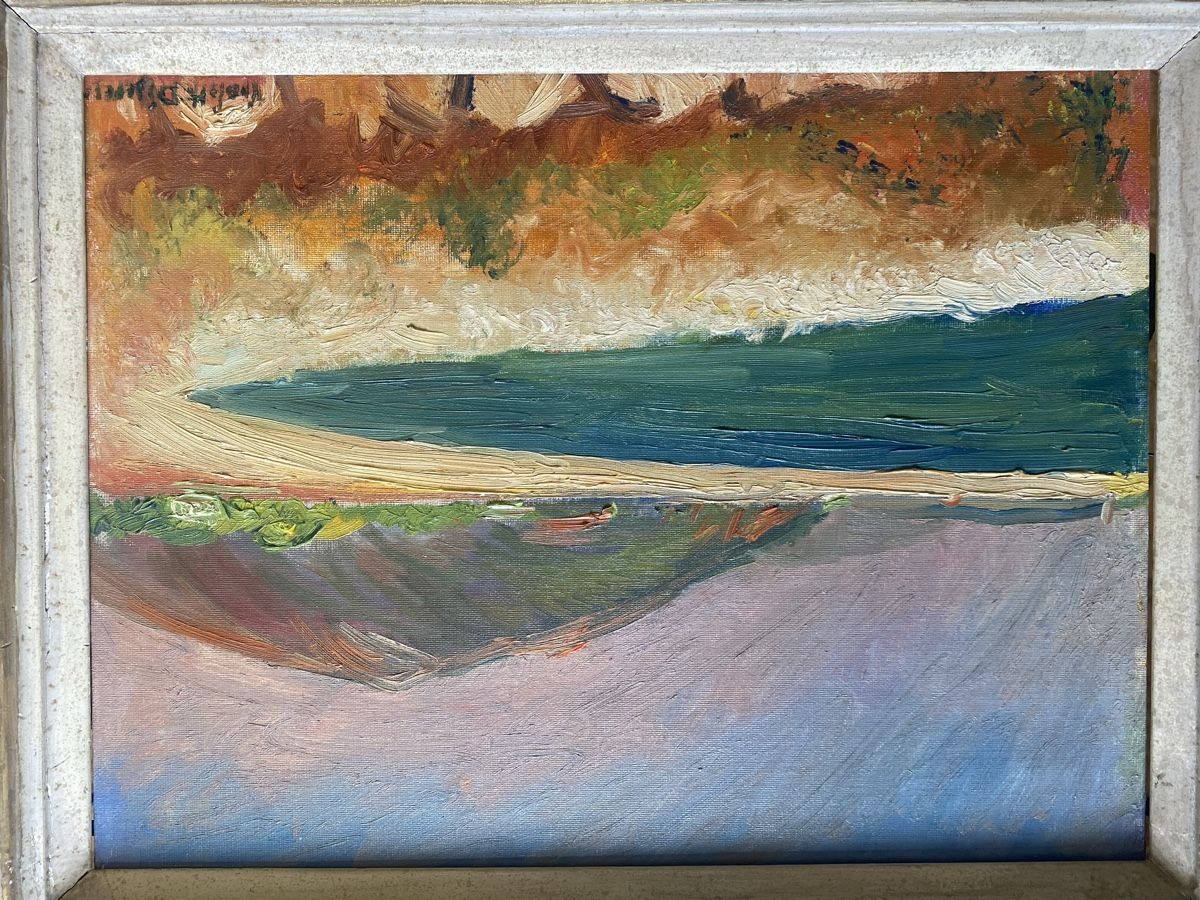 Dipinti: Peinture de Violette Diserens  – Usato da Lausanne venduto da Csamadhi 1