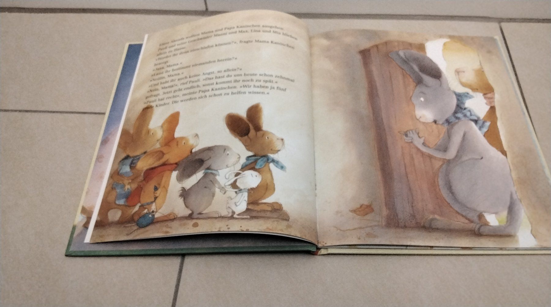Bücher: Hase Pauli / Hilfe , ein Gespenst ! – Gebraucht aus Steinhausen von pinu09 3