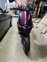 Peugeot Buxy Roller 50ccm violett