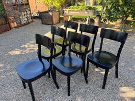 6 Horgen Glarus Stühle, Buche schwarz Classic 1-380