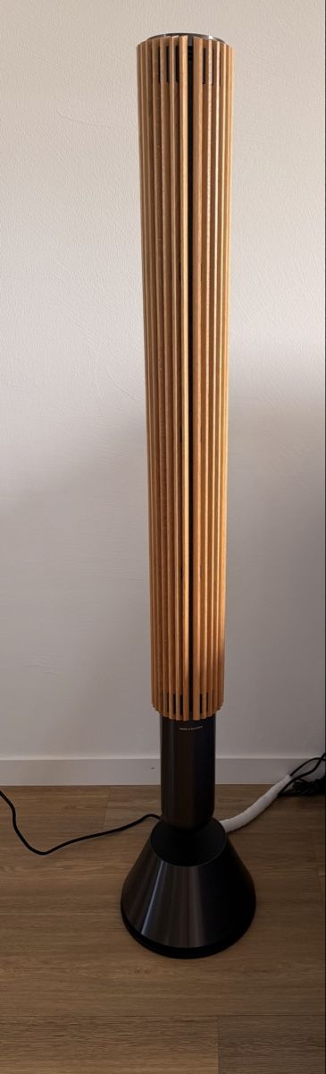 Bang & Olufsen Haut-parleurs: Bang & Olufsen Beolab 28 – D'occasion à Frauenfeld par Urban9 1