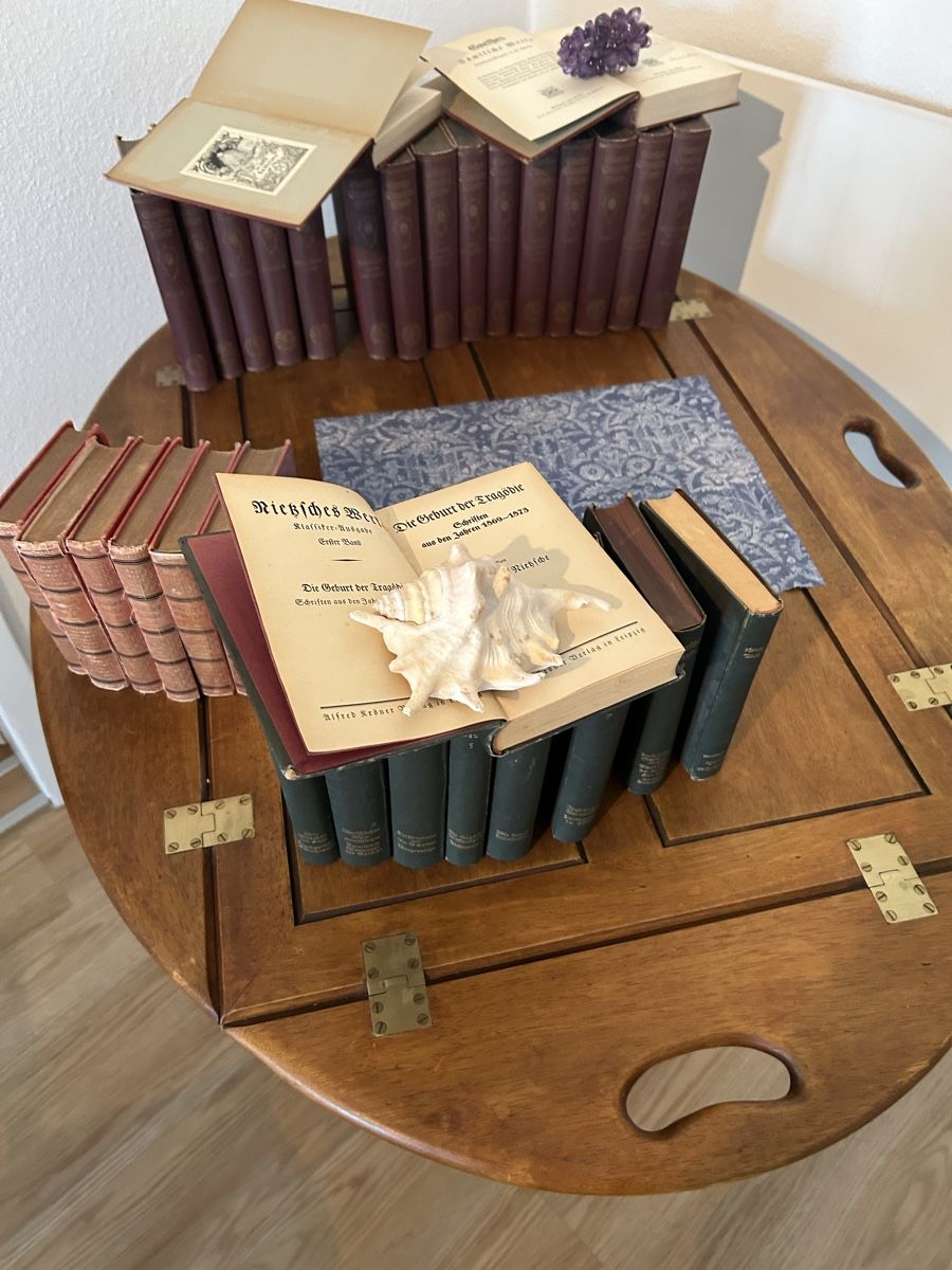 Bücher: Antike Bücher  – Defekt aus Kreuzlingen von perleperle