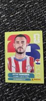 Panini PAR 20