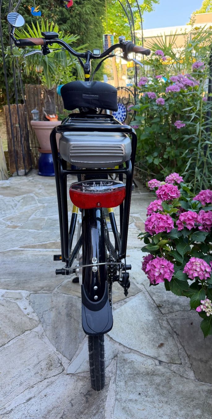 Totem Vélos: e-bike, e-totem – D'occasion à Dulliken par Erfolgreich05 8