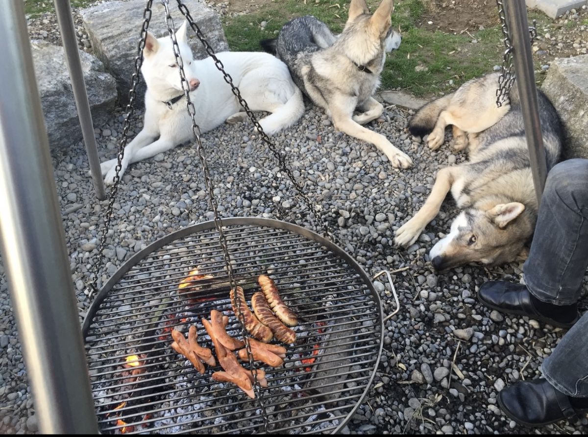 Griglie: DREIBEIN GRILL EDELSTAHL – Usato da Kölliken venduto da deleina 8