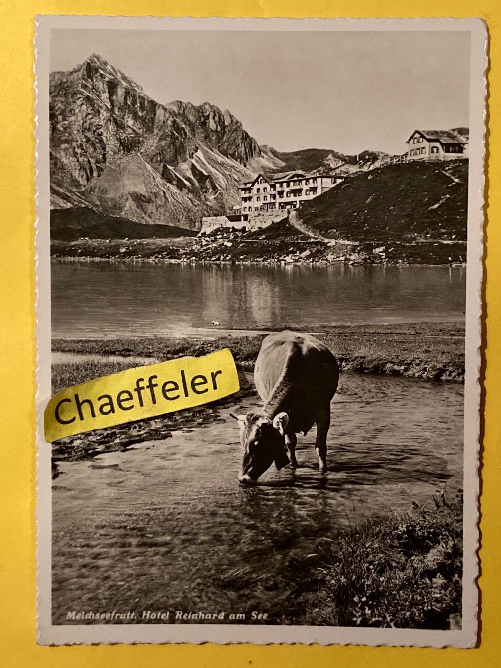 Cartoline postali: Melchseefrutt, Hotel Reinhard am See – Usato da Zürich venduto da Chaeffeler