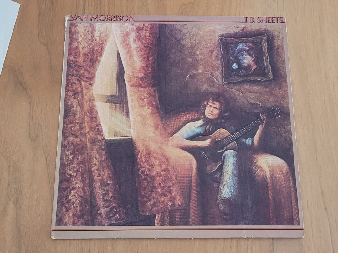Vinyles: LP  Van Morrison – D'occasion à Martigny par MZ-67