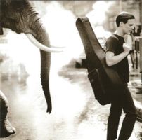 CD: BRYAN ADAMS - On a day like today