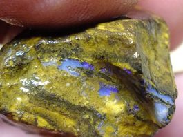 BOULDER ROH OPAL 44.8 Kt Gebot 1.- Elektisch Blau Grün feuer