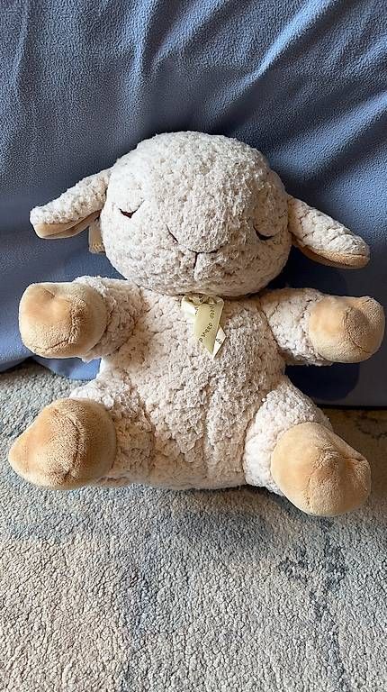 Jouets: Cloud B Sleep Sheep – D'occasion à Bülach par pianistaf