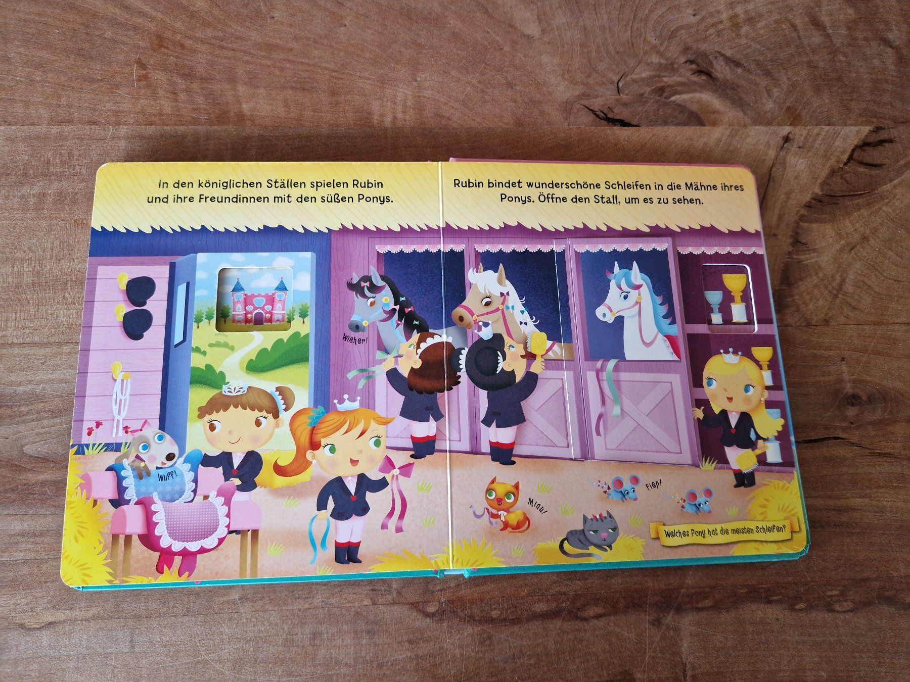 Libri: Buch Kuckuck! Prinzessinnenschloss – Usato da Giswil venduto da monimaus08 2
