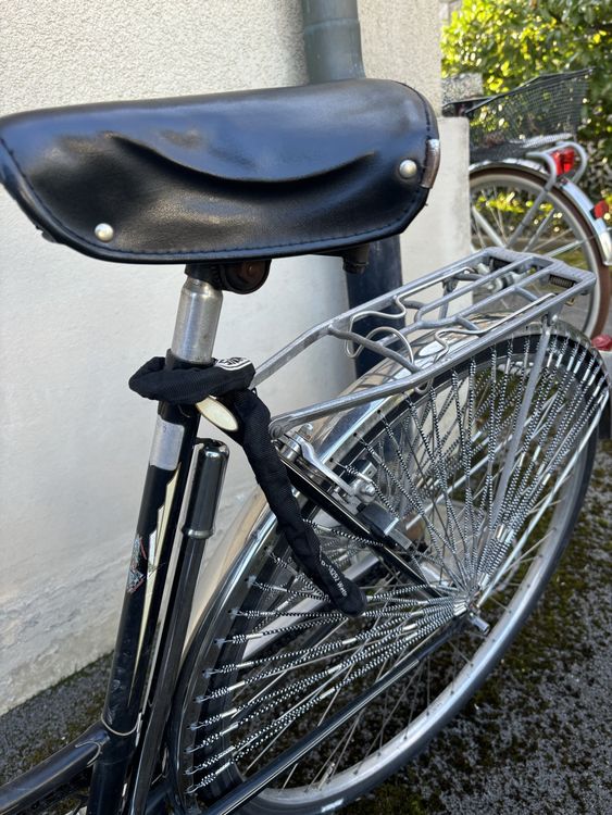 Damenfahrrad / Velo für LiebhaberInnen 4