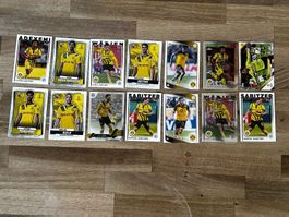 14 Topps Fussball-Cards mit Spielern von Borussia Dortmund