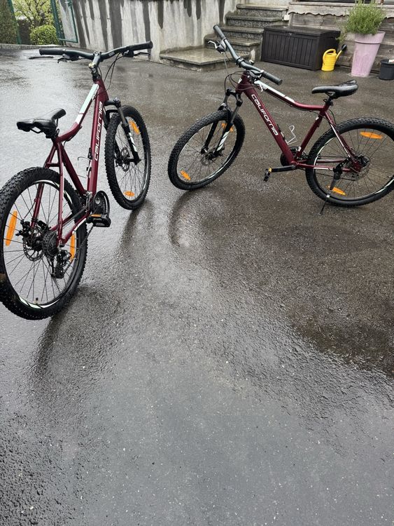 Vélos: VTT California Pasadena , bon état! – D'occasion à Troistorrents par joj_6wd5