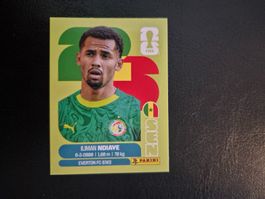Panini WM 26 SEN 18